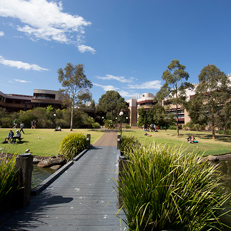 Uni of Wollongong campus